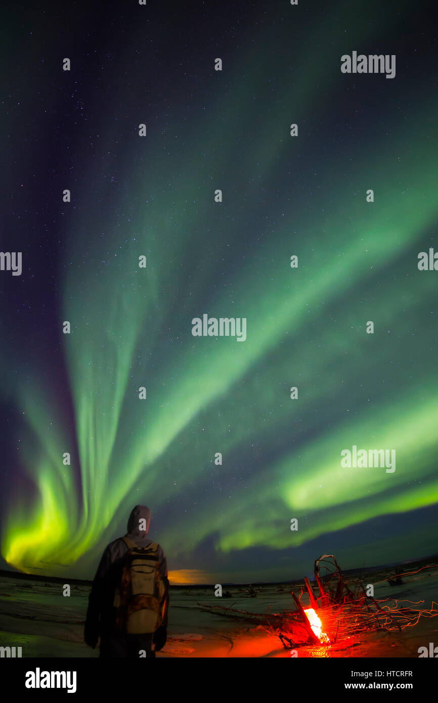 Man Watching northern lights les frais généraux tout en se trouvant à côté d'un feu de camp le long de la rivière Delta près de Delta Junction, Alaska, USA Banque D'Images