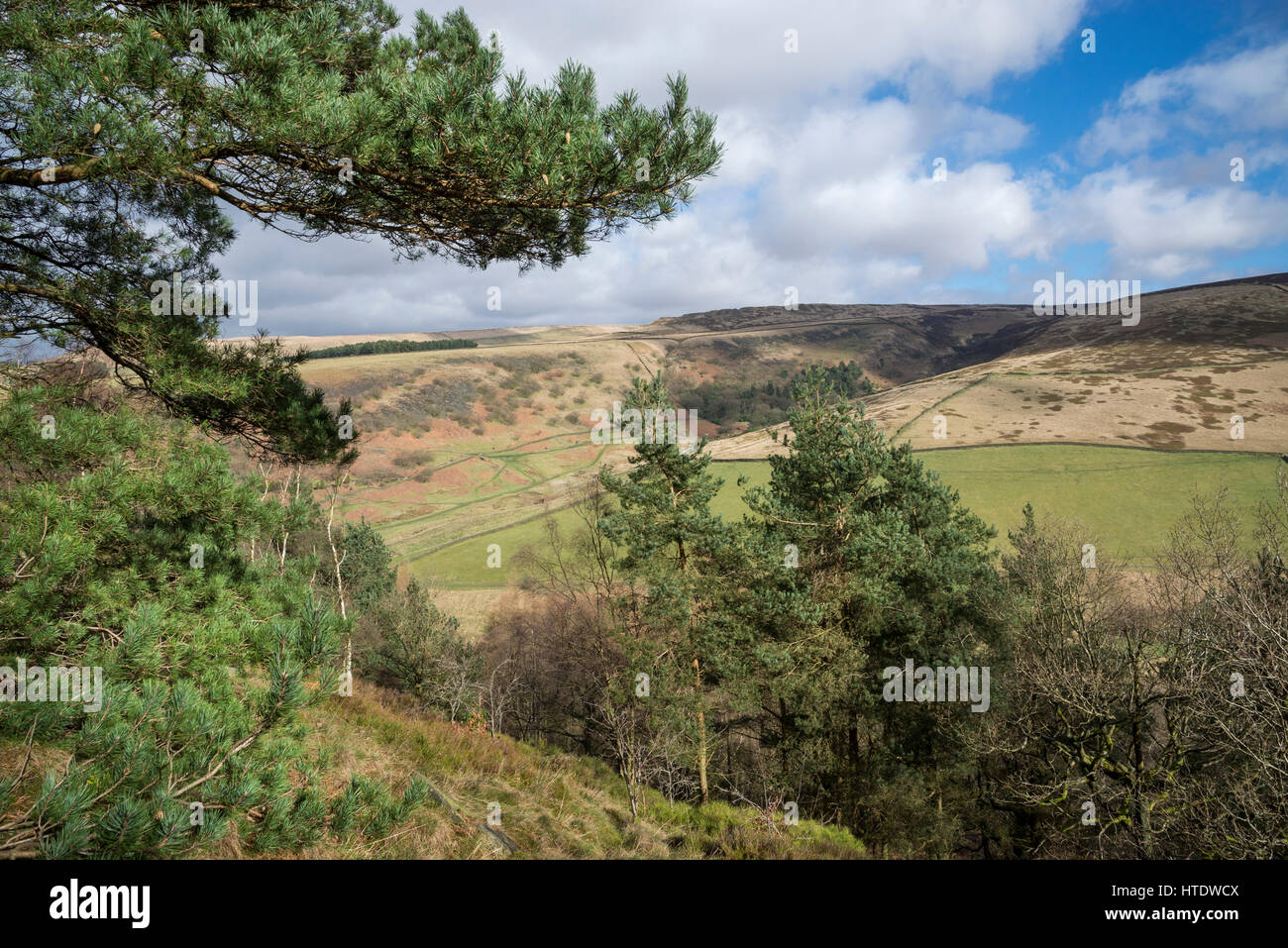 Belle vue de Shire Hill près de Cupar. Début du printemps paysage sur le bord des Pennines du nord de l'Angleterre. Banque D'Images