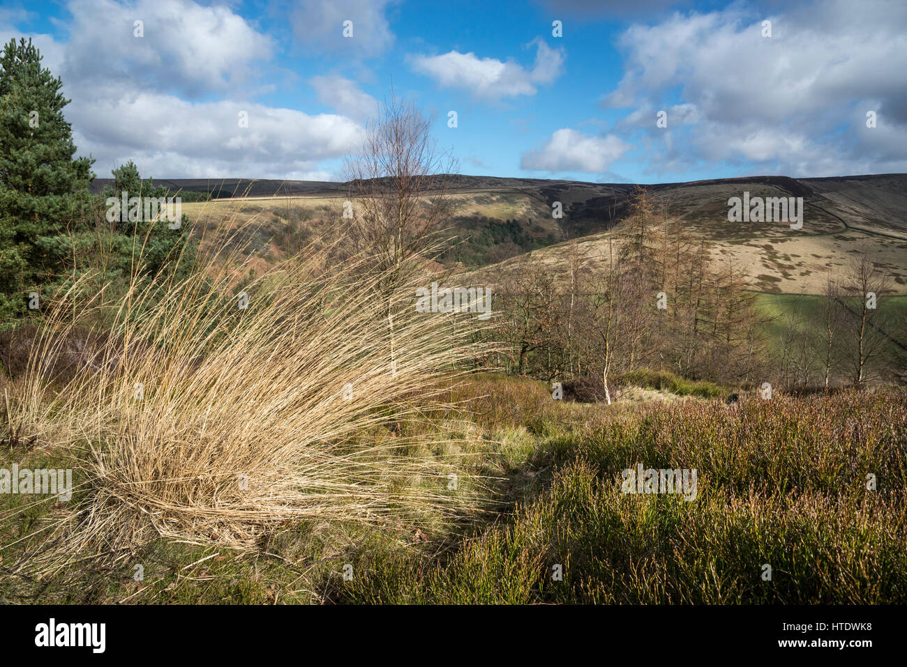 Belle vue de Shire Hill près de Cupar. Début du printemps paysage sur le bord des Pennines du nord de l'Angleterre. Banque D'Images