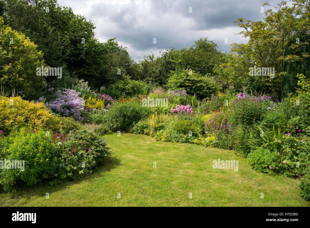 Frontières coloré de fleurs dans un jardin de style. La plantation mixte d'arbustes et vivaces en pleine croissance, la mi-juillet. Banque D'Images