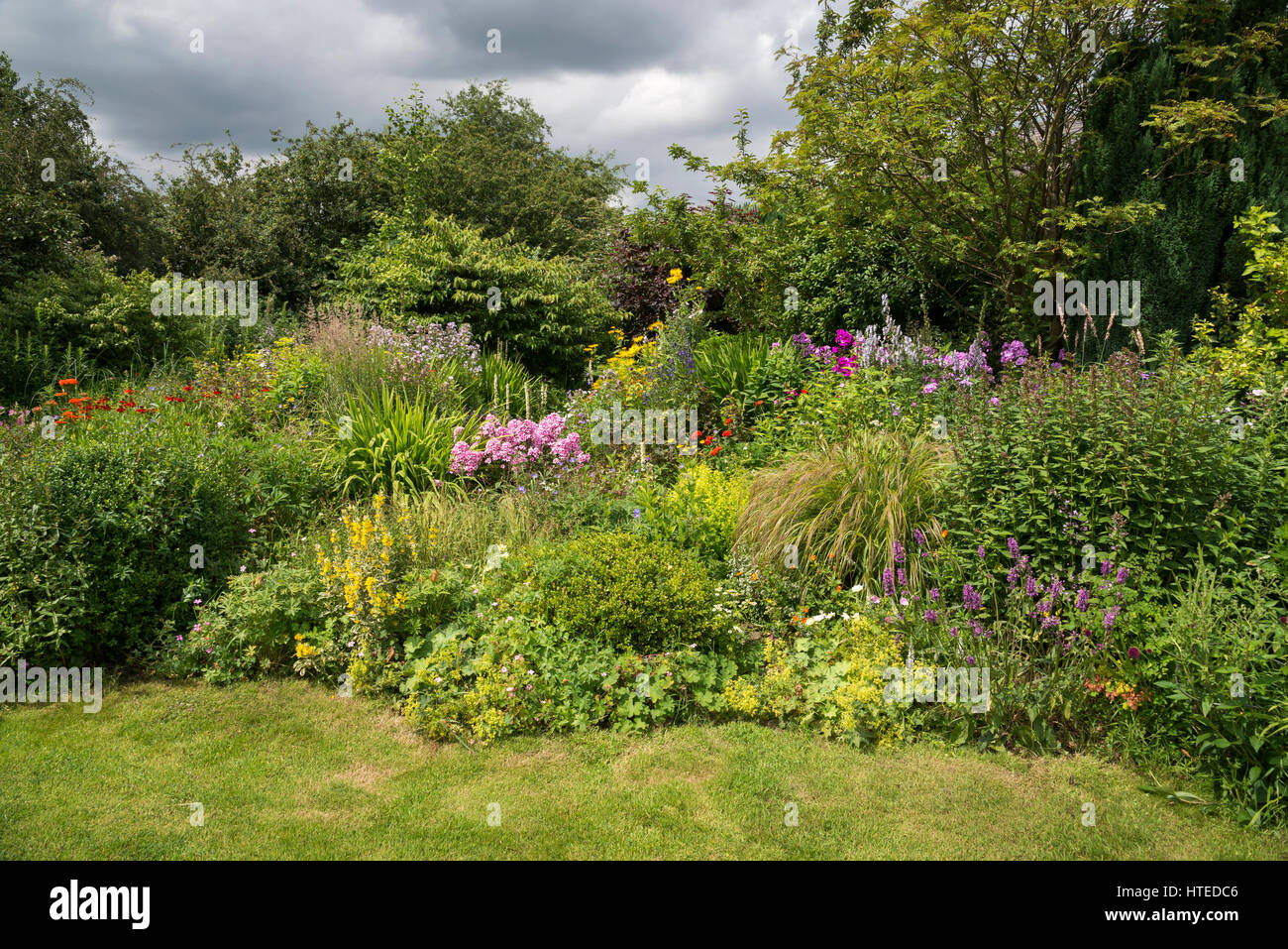 Frontières coloré de fleurs dans un jardin de style. La plantation mixte d'arbustes et vivaces en pleine croissance, la mi-juillet. Banque D'Images