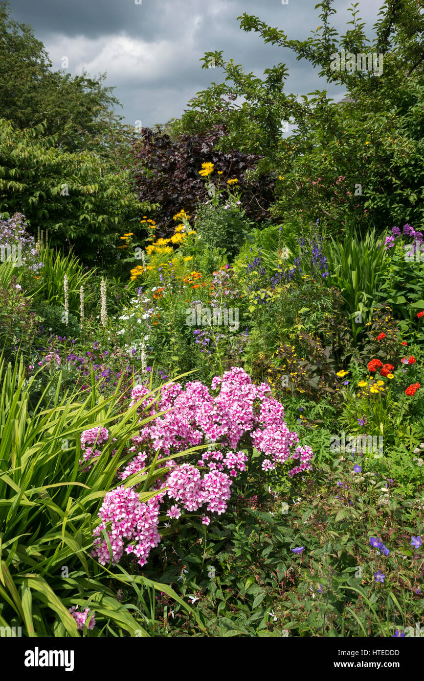 Frontières coloré de fleurs dans un jardin de style. La plantation mixte d'arbustes et vivaces en pleine croissance, la mi-juillet. Banque D'Images