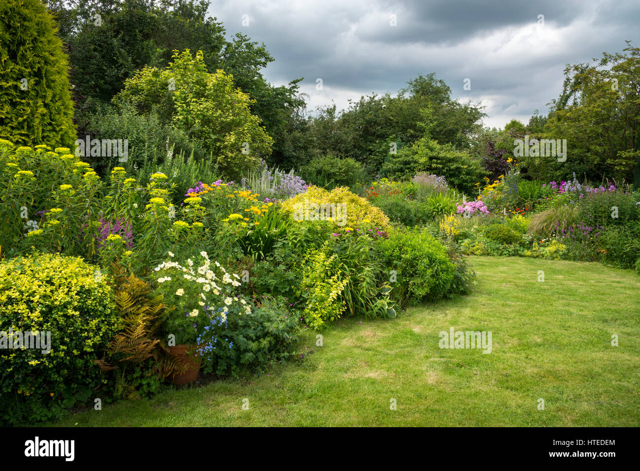 Frontières coloré de fleurs dans un jardin de style. La plantation mixte d'arbustes et vivaces en pleine croissance, la mi-juillet. Banque D'Images