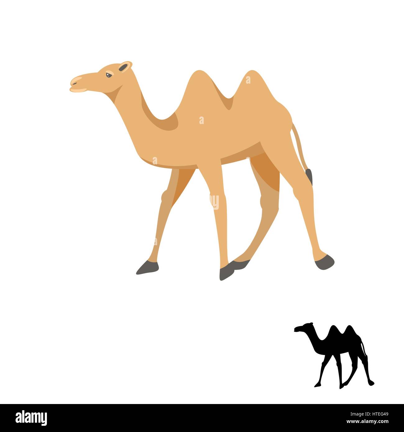 Vector illustration silhouette de chameau sur blanc. Illustration de Vecteur