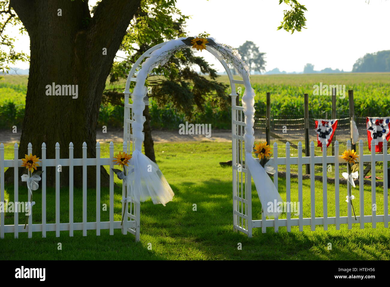 Entrée de mariage en plein air Banque D'Images