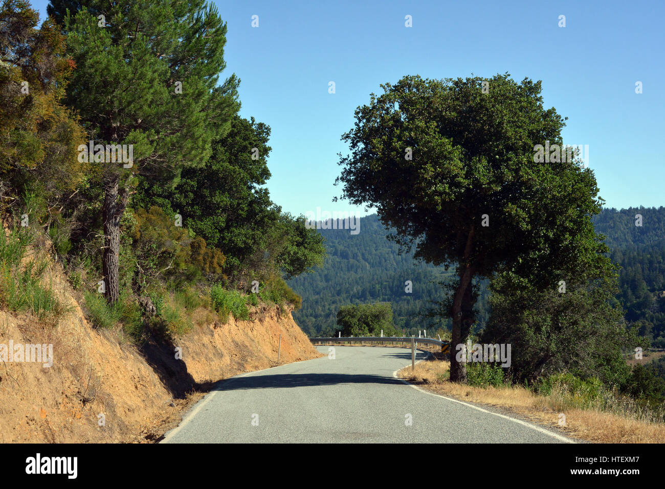 Route de campagne près de Los Gatos, Silicon Valley, Californie, USA, à proximité de la faille de San Andreas-line Banque D'Images