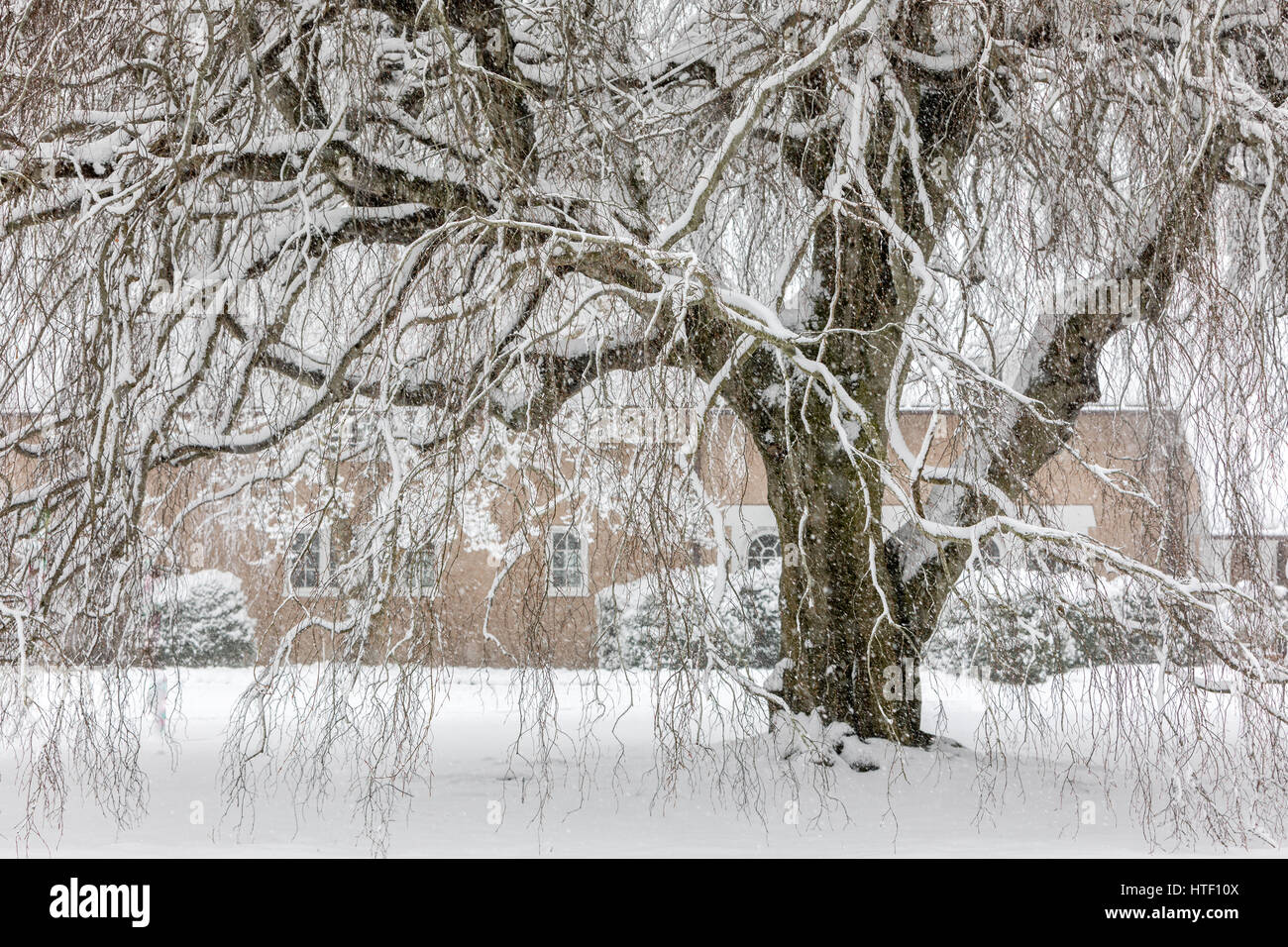 Paysage couvert de neige dans l'est de long island, New York, USA Banque D'Images