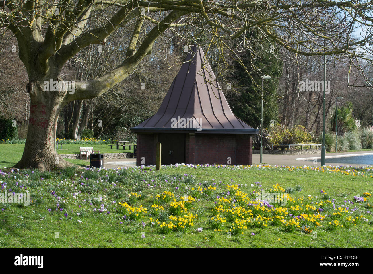 Eastrop Park à Basingstoke, Hampshire, Royaume-Uni, avec des fleurs de printemps Banque D'Images