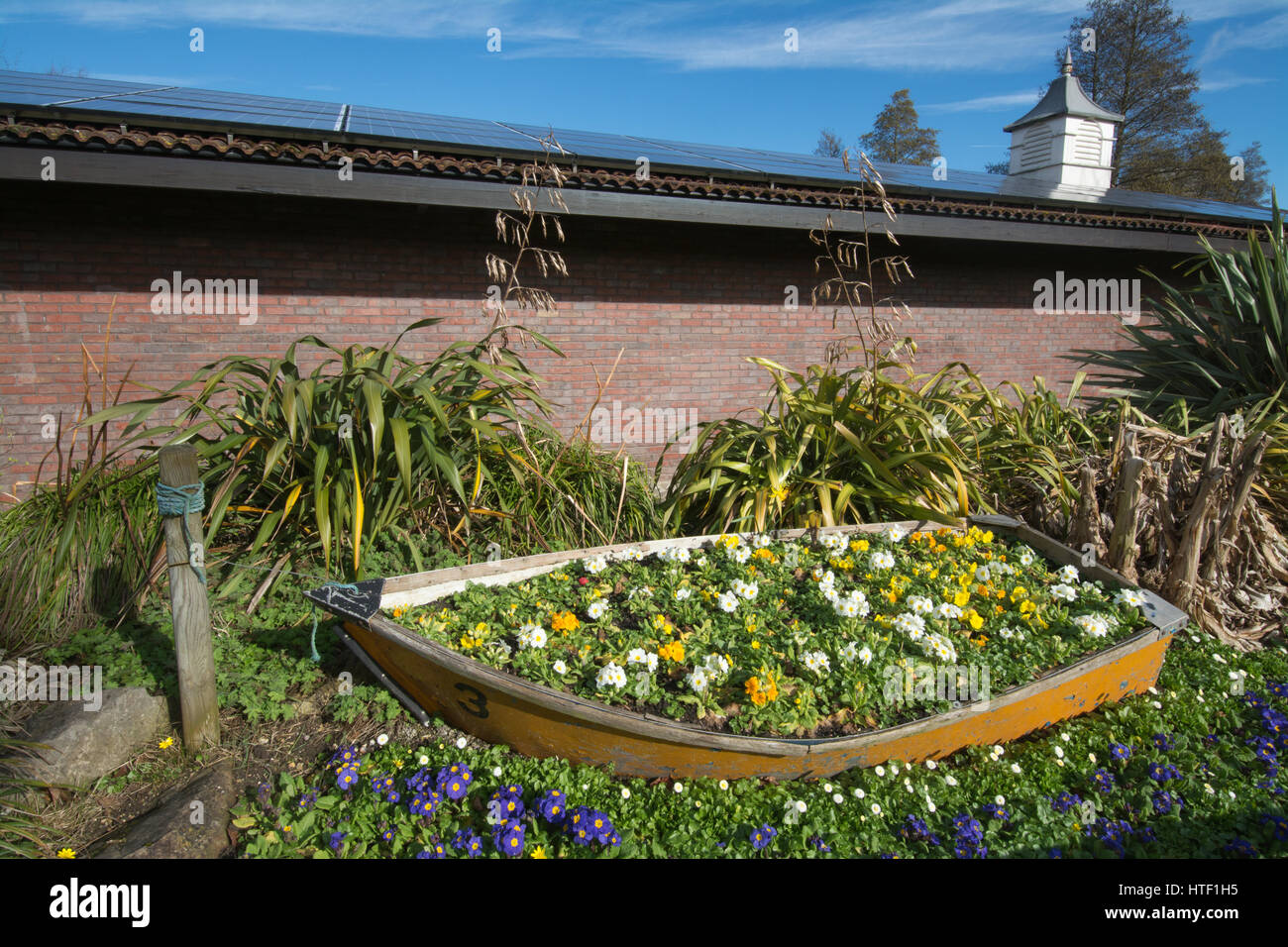 Eastrop Park à Basingstoke, Hampshire, Royaume-Uni, avec des fleurs de printemps Banque D'Images