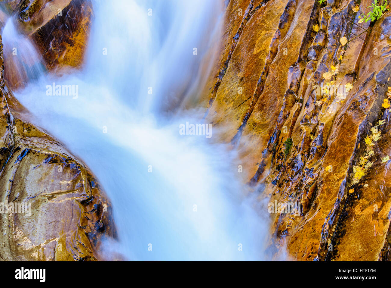 Bertha Falls inférieur à Waterton National Park Banque D'Images