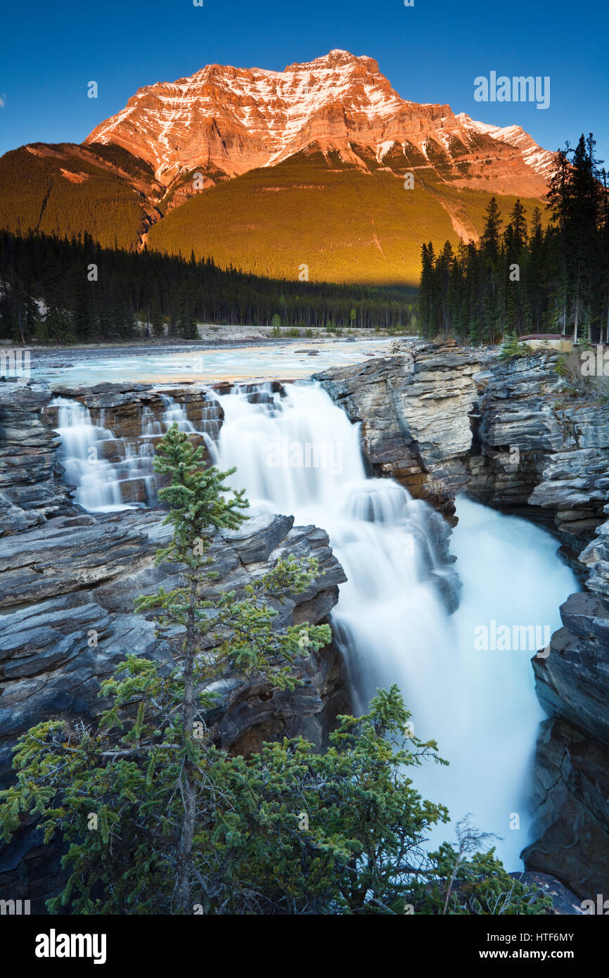 Coucher du soleil à Chutes Athabasca et Mt. Kerkeslin dans les Rocheuses canadiennes. Le Parc National Jasper, Alberta. Banque D'Images