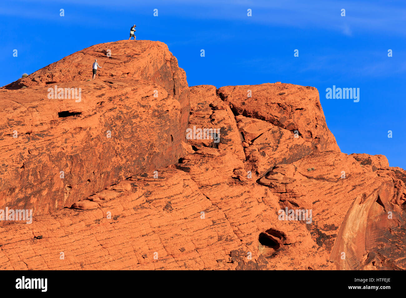Atlatl Rock escalade, Vallée de Feu, Parc Overton, Nevada, USA Banque D'Images