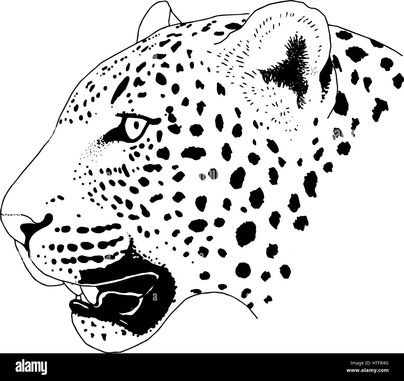Leopard tattoo face ,Vector illustration, d'impression Illustration de Vecteur