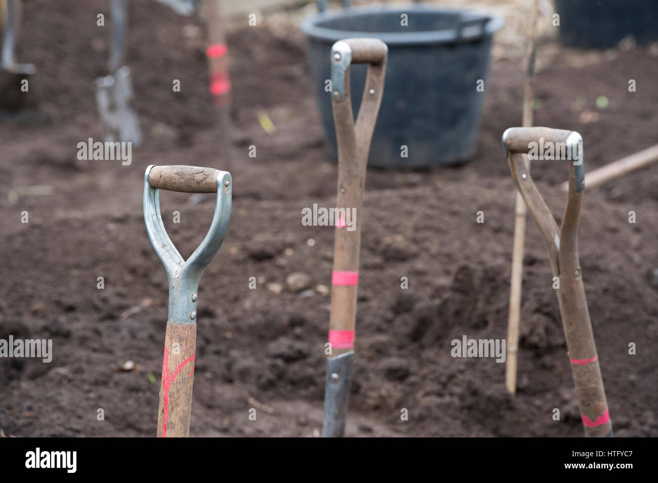 Fourche à bêcher et piques en fleur frontière. Résumé des manches en bois Banque D'Images