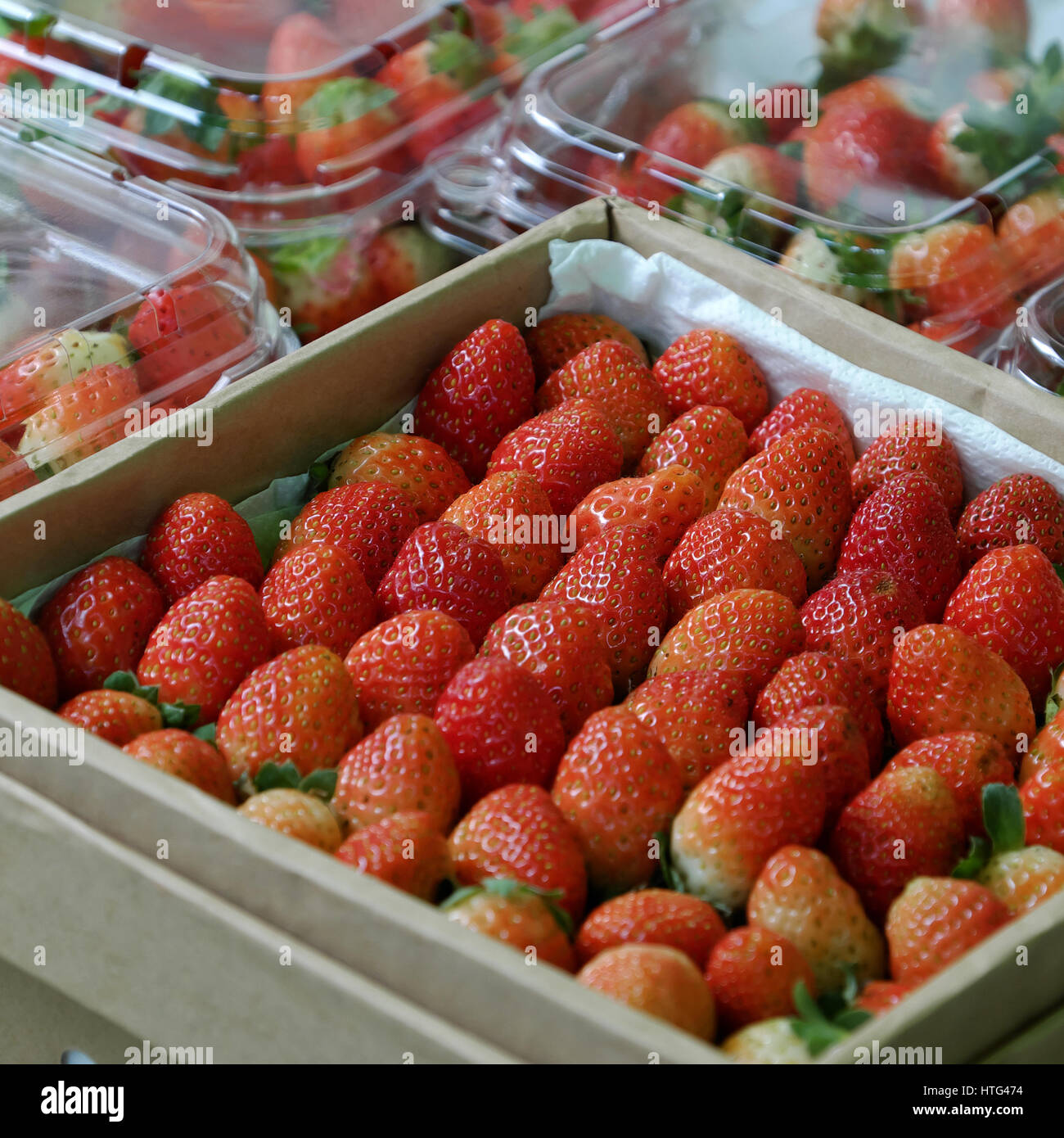 Panier de fraises rouges mûres au Vietnam, le marché des fruits, l'agriculture biologique produit, bon pour la santé, riche en vitamine c Banque D'Images