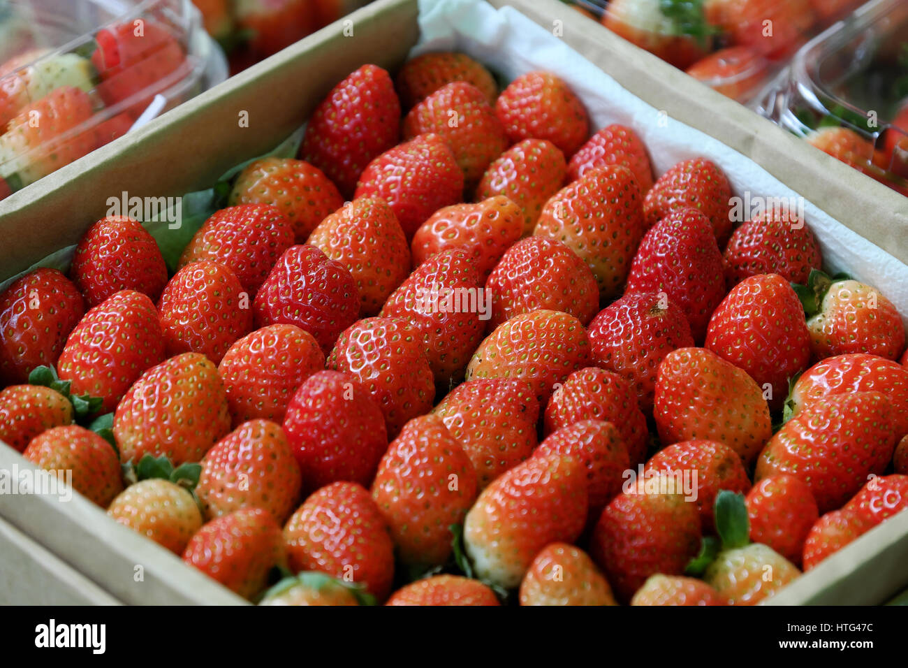 Panier de fraises rouges mûres au Vietnam, le marché des fruits, l'agriculture biologique produit, bon pour la santé, riche en vitamine c Banque D'Images