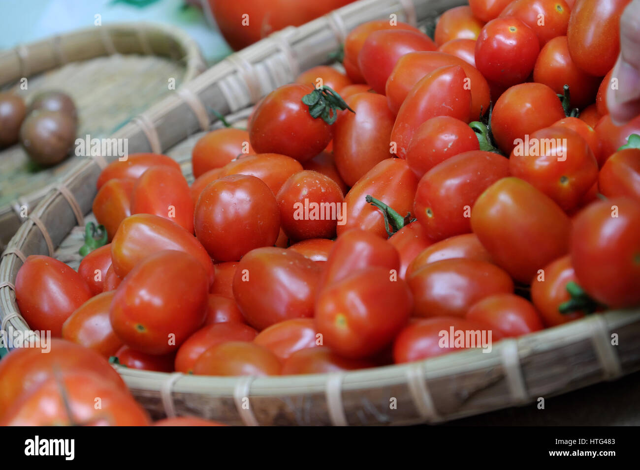 Groupe de tomates afficher au salon de l'agriculture, de la sécurité des produits agricoles du Vietnam, riche en vitamine A, C, bon pour la santé Banque D'Images