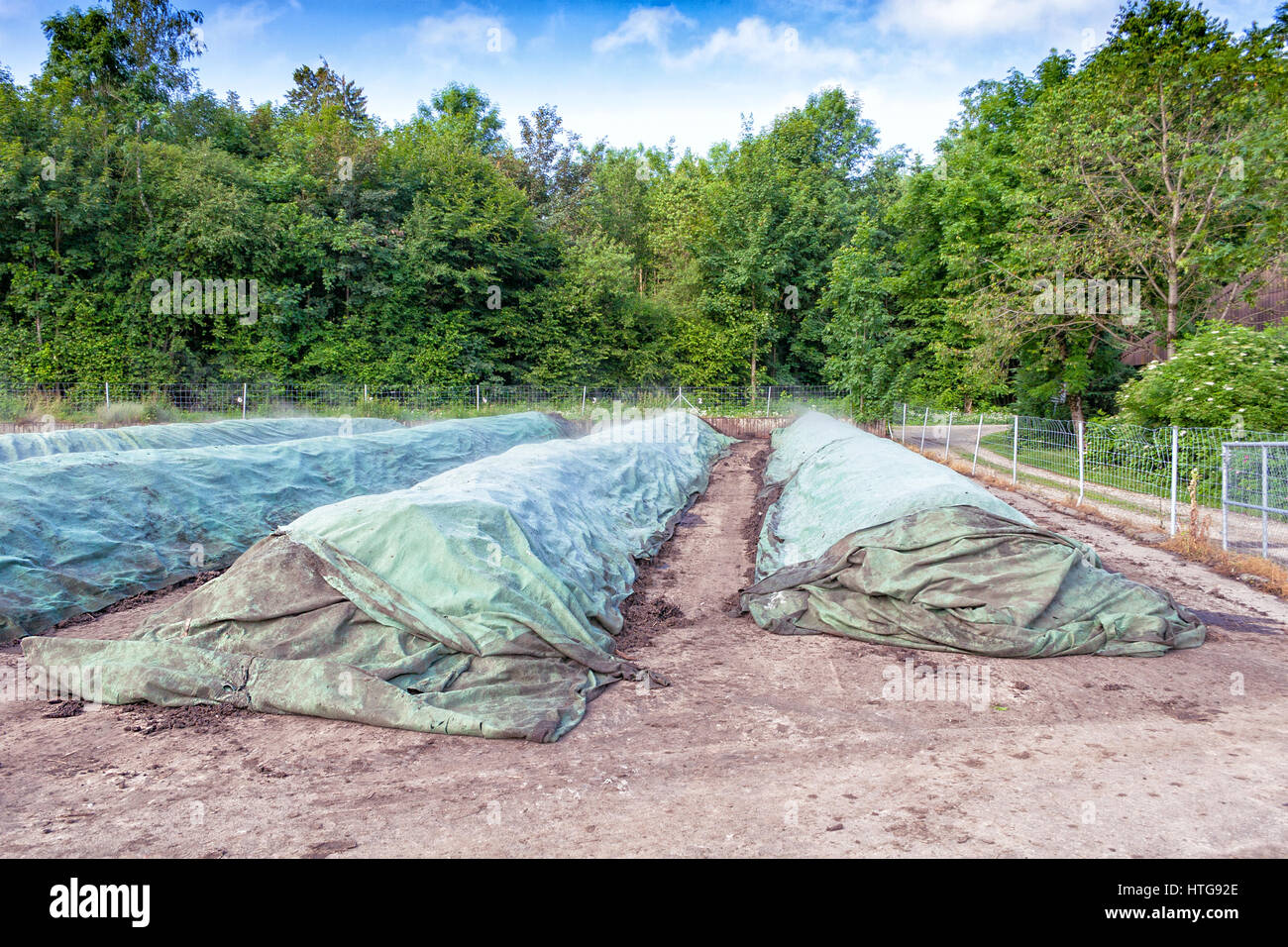 Processus de compostage Banque de photographies et d’images à haute ...
