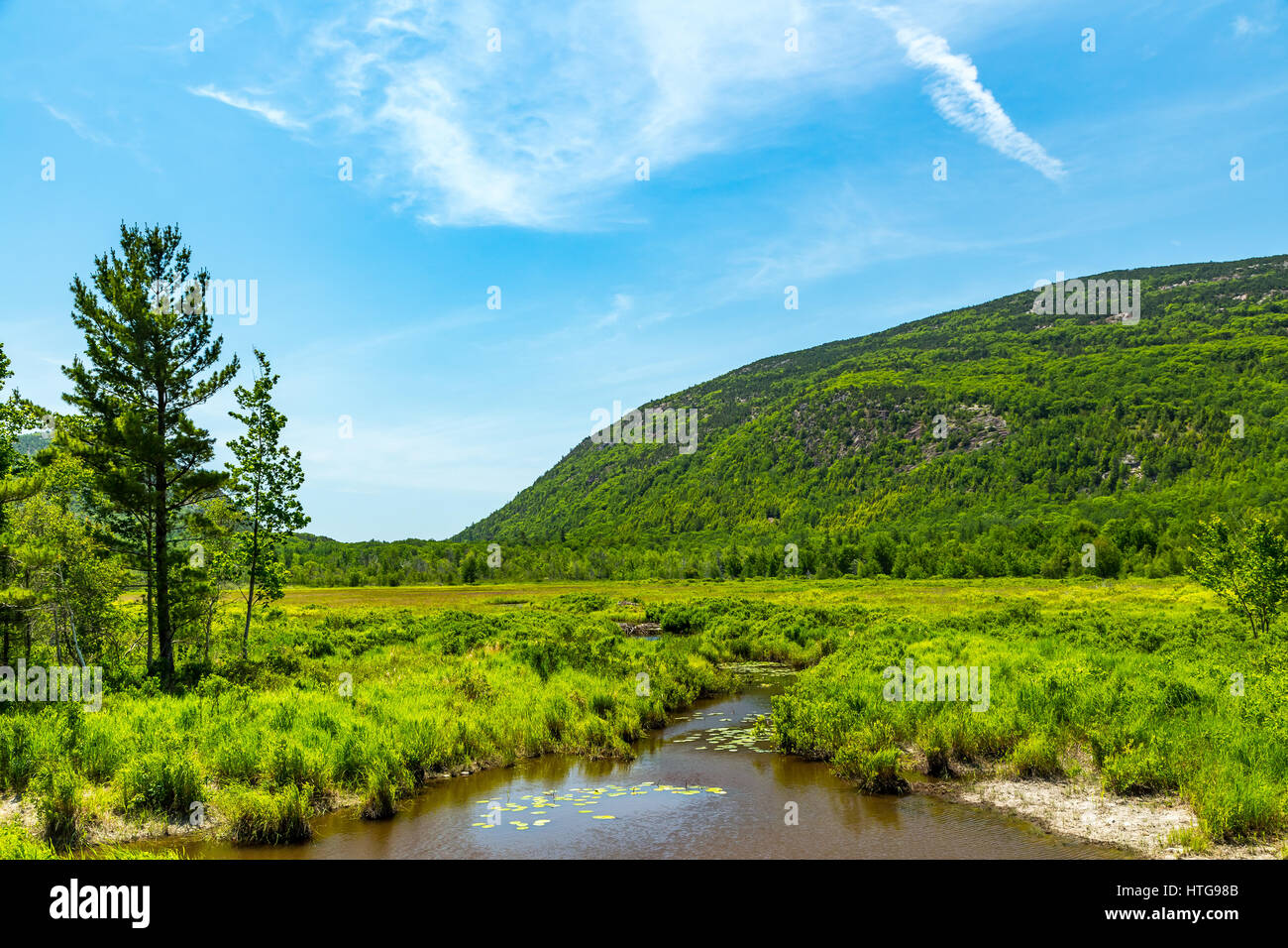 Les barrages de castors sont visibles en amont, à Cromwell Brook dans l'Acadia National Park, Maine. Les barrages de castors sont créés comme une protection contre les prédateurs, tels que le co Banque D'Images