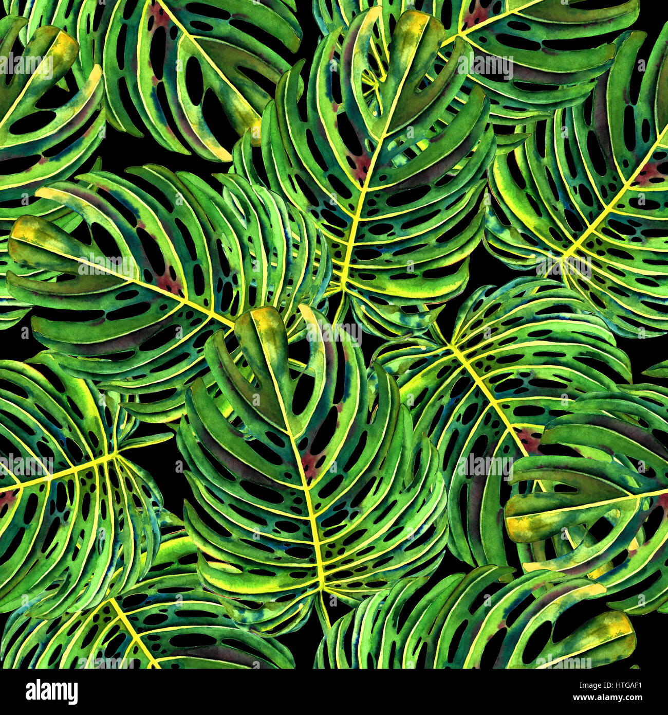 Motif florale avec de belles feuilles de monstera aquarelle. Le feuillage de la jungle sur fond noir. Le design textile. Banque D'Images