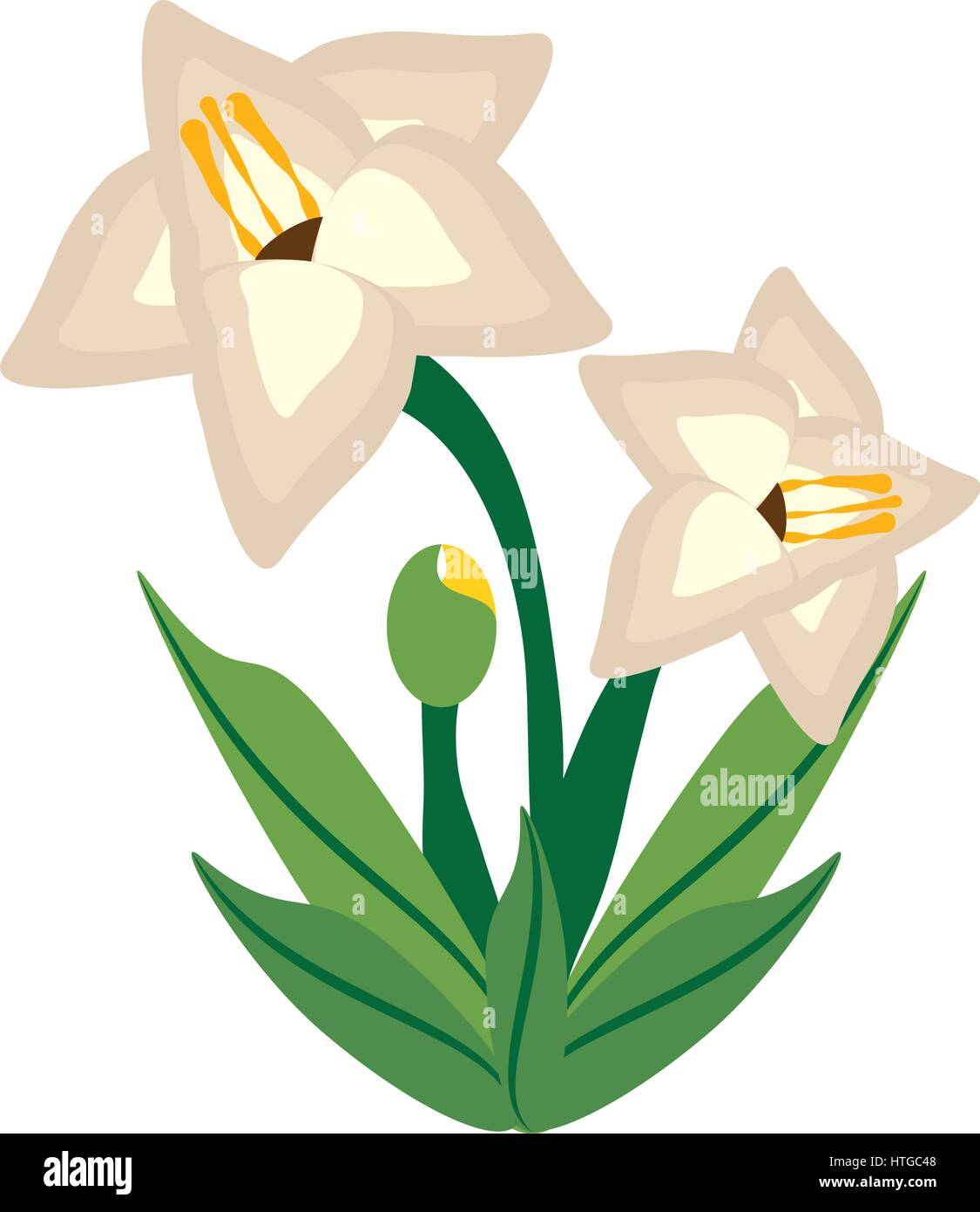 Icône de l'image fleur glaïeul Illustration de Vecteur