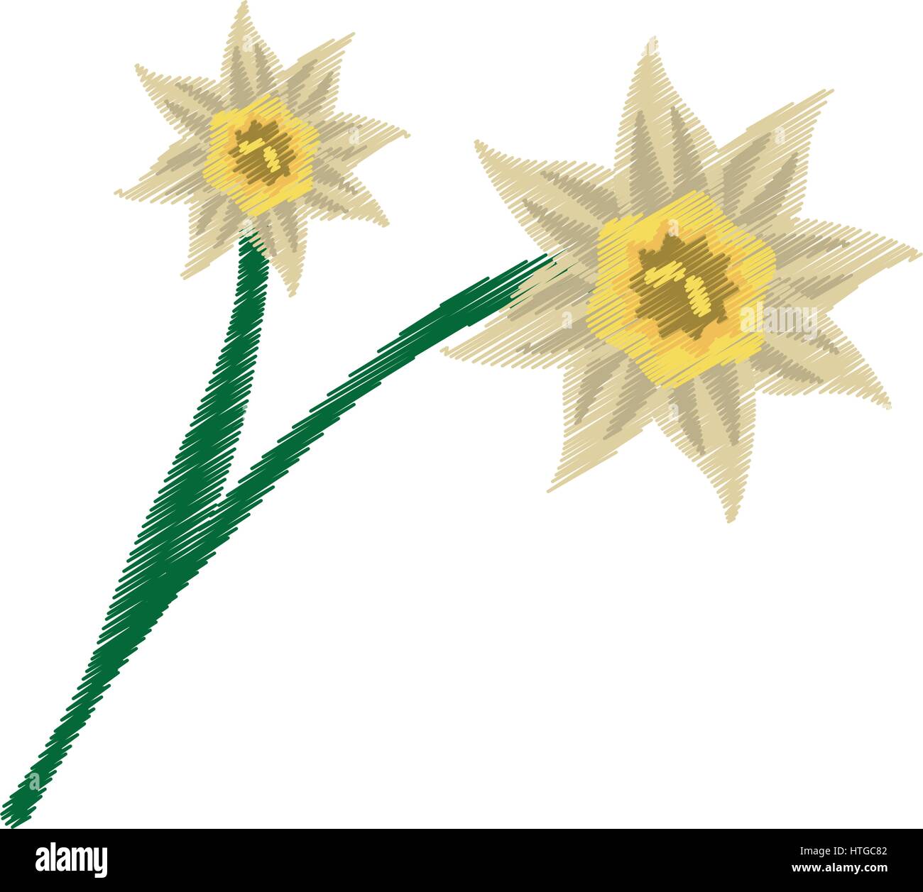 Image Fleur Jonquille Dessin Image Vectorielle Stock Alamy