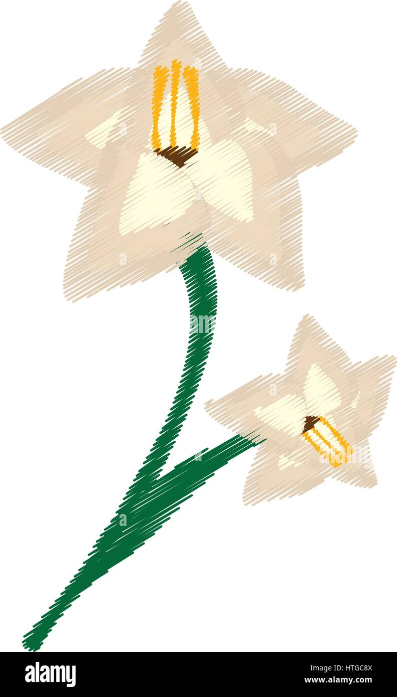 Glaïeul dessin image ornement fleur Illustration de Vecteur