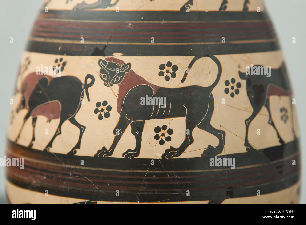 Lionne représentés sur l'huile à figures noires de Corinthe verseuse de 650-625 avant J.-C. sur la Staatliche Antikensammlungen dans l'affichage d'État de Bavière (Collection d'Antiquités) à Munich, Bavière, Allemagne. Banque D'Images