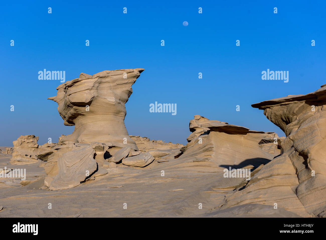 Belle Fossil Rock formation in Abu Dhabi désert. Banque D'Images