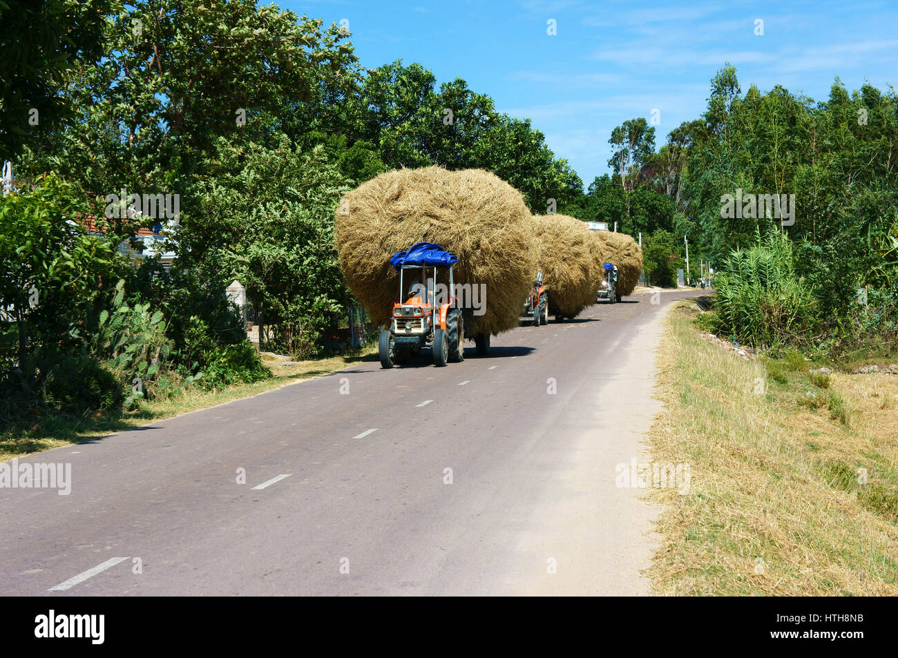 BINH DINH, LE VIET NAM- AUG 23, 2015 : Asian farmer paille de riz transport par tracteur agricole on country road, un danger de circulation transports - Banque D'Images