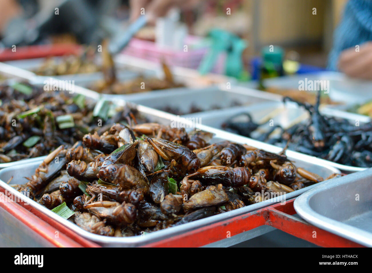 Les insectes frits vendus dans les rues de Bangkok, Thaïlande Banque D'Images