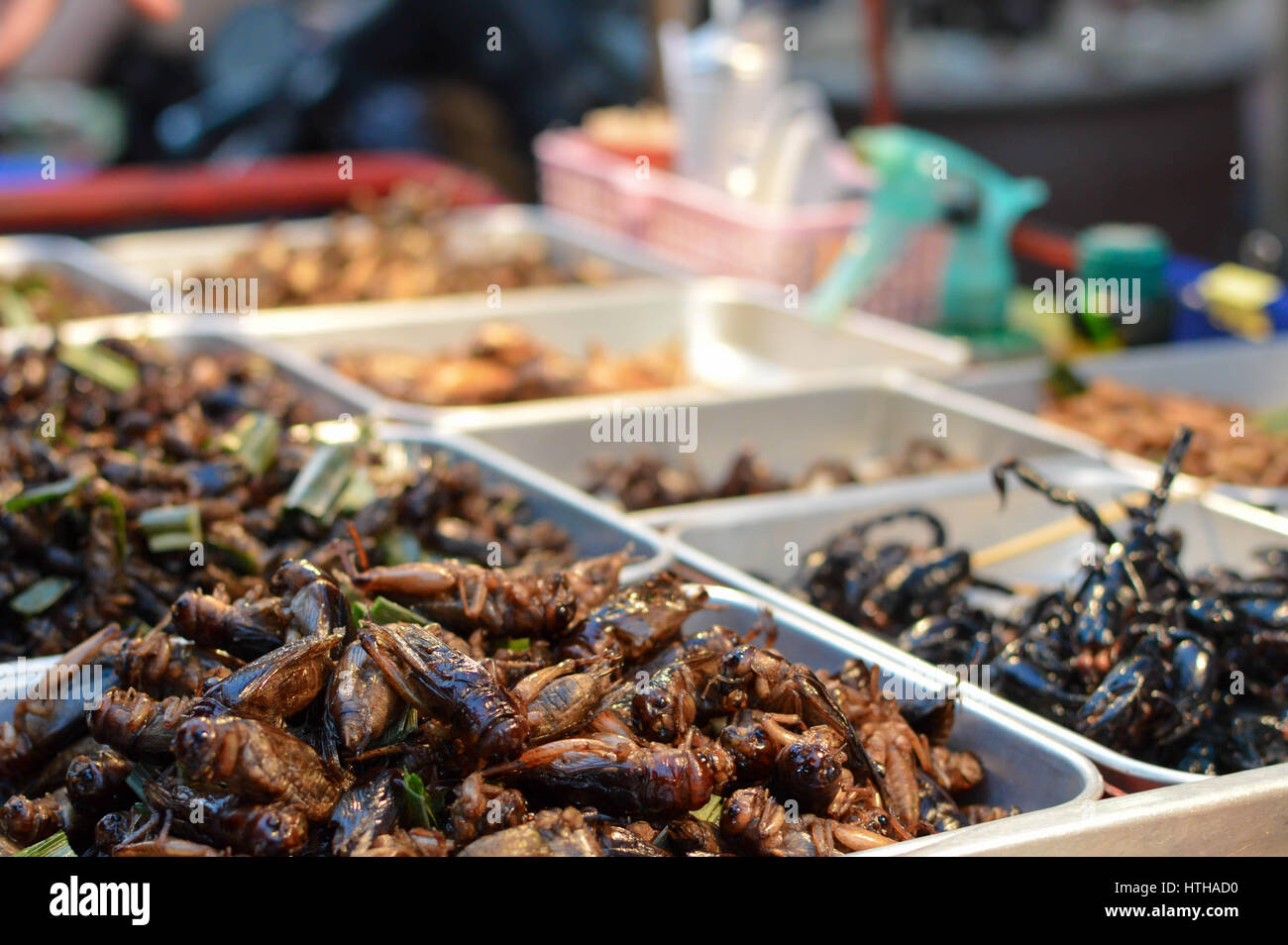 Les insectes frits vendus dans les rues de Bangkok, Thaïlande Banque D'Images