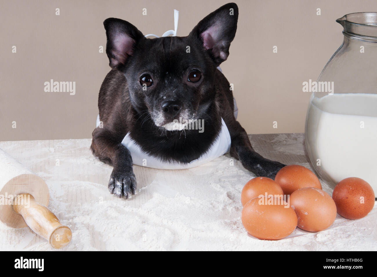 La cuisine de Chihuahua Banque D'Images