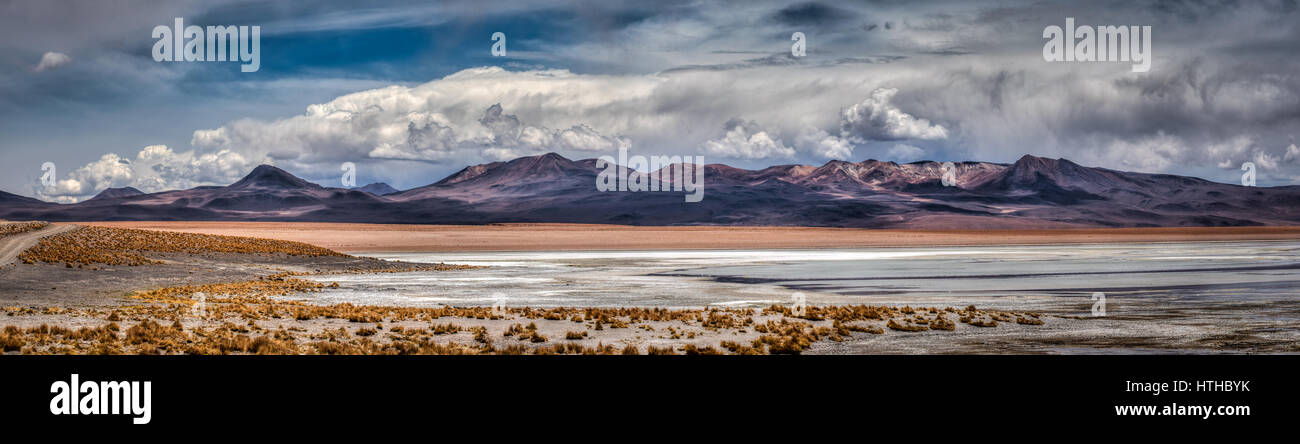 L'Altiplano de Bolivie a un tel paysage unique que vous avez parfois l'impression que vous êtes dans une peinture. Banque D'Images