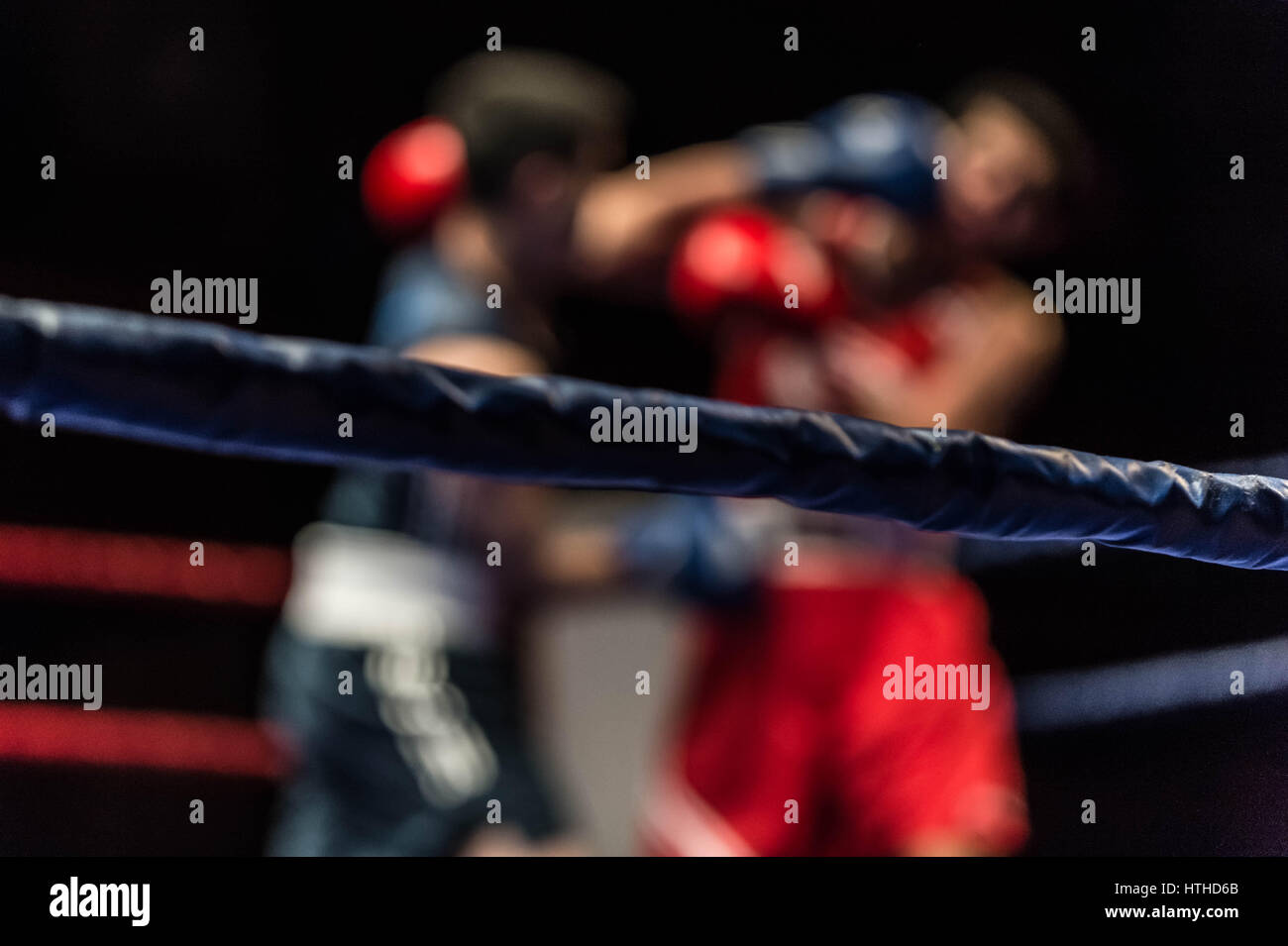 Cambridge, UK. 10 mars, 2017. Oxford vs Cambridge. 110e Boxing Varsity Match à la Cambridge Corn Exchange. © Guy Josse/Alamy Live News Banque D'Images