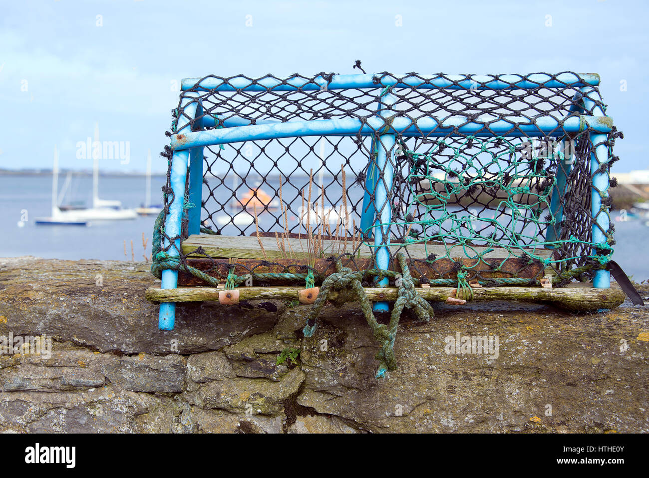 Lobster Pot sur un mur de quai. Pris dans Port St Mary dans l'île de Man Banque D'Images