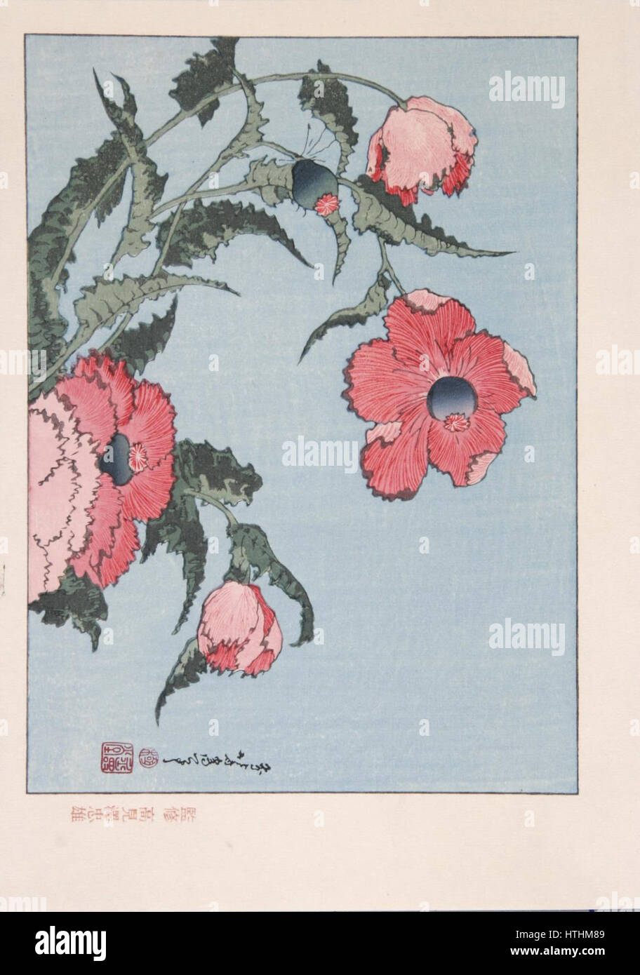 Katsushika Hokusai (1760-1849), Klaprozen Banque D'Images