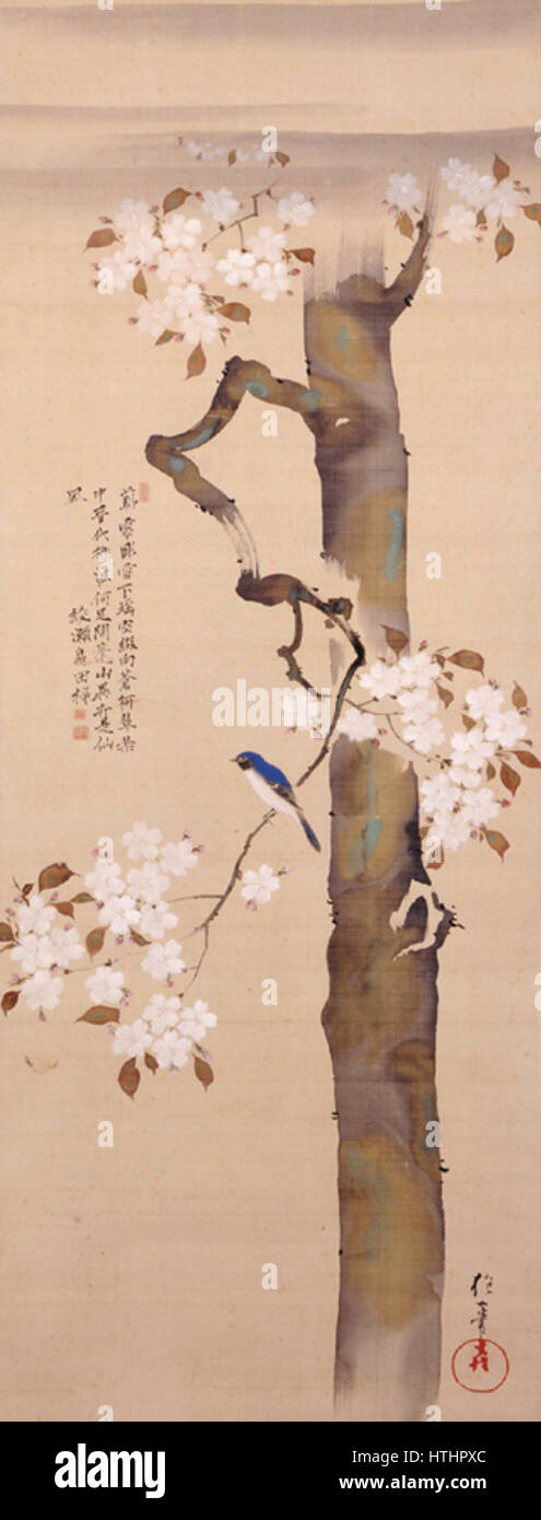 De petits oiseaux et de cerisier par Sakai Hoitsu (Musée Hosomi) Banque D'Images