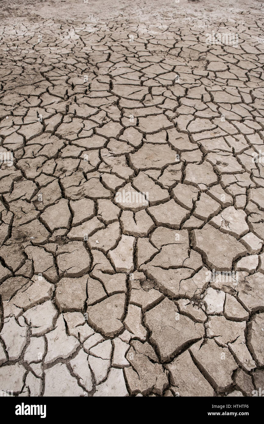 Fissures de boue Banque D'Images