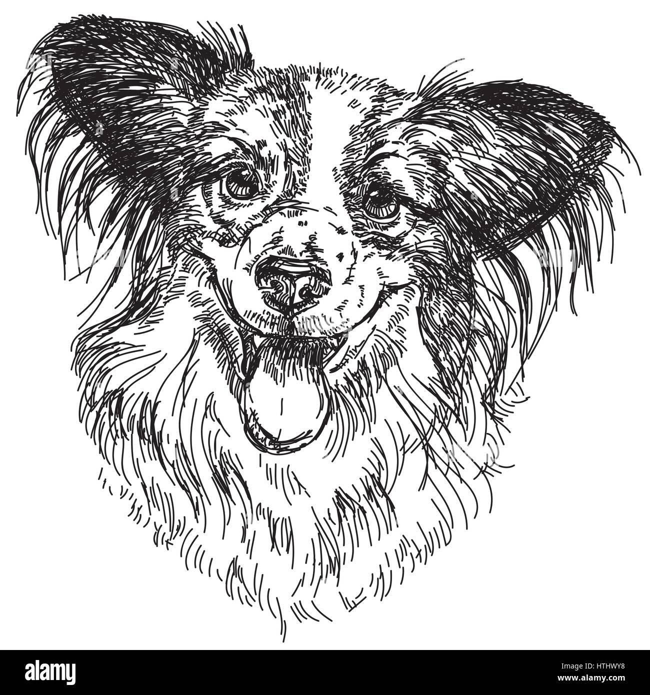 Papillon vecteur illustration portrait dessin à la main en noir sur fond blanc Illustration de Vecteur