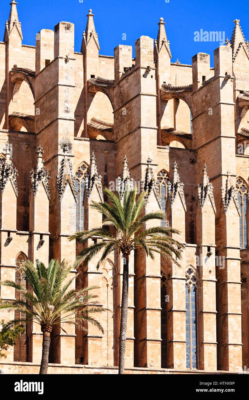 La cathédrale de Palma, Majorque, Espagne Banque D'Images