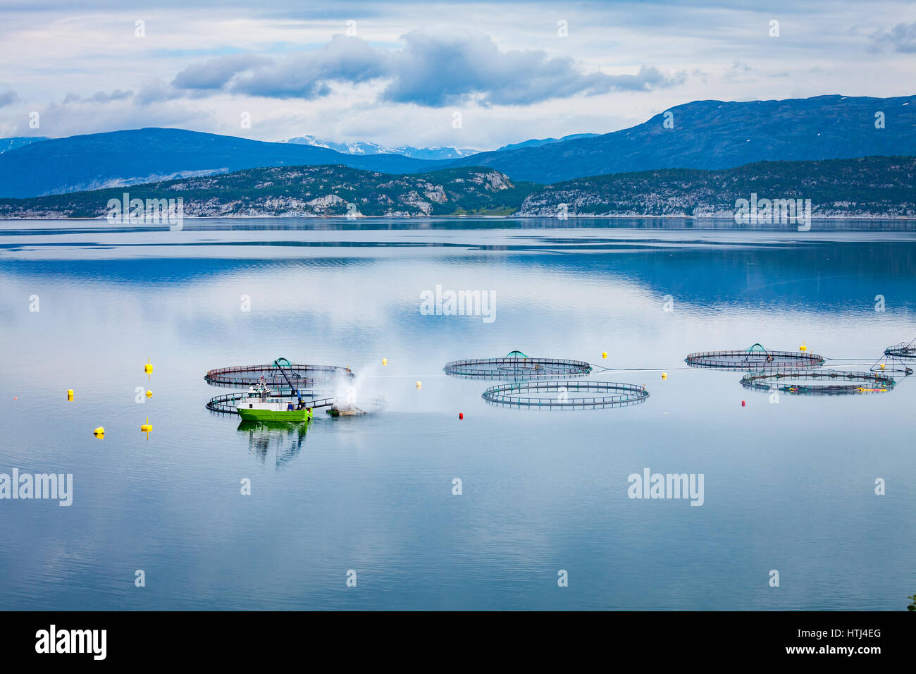 La pêche du saumon d'élevage en Norvège Banque D'Images