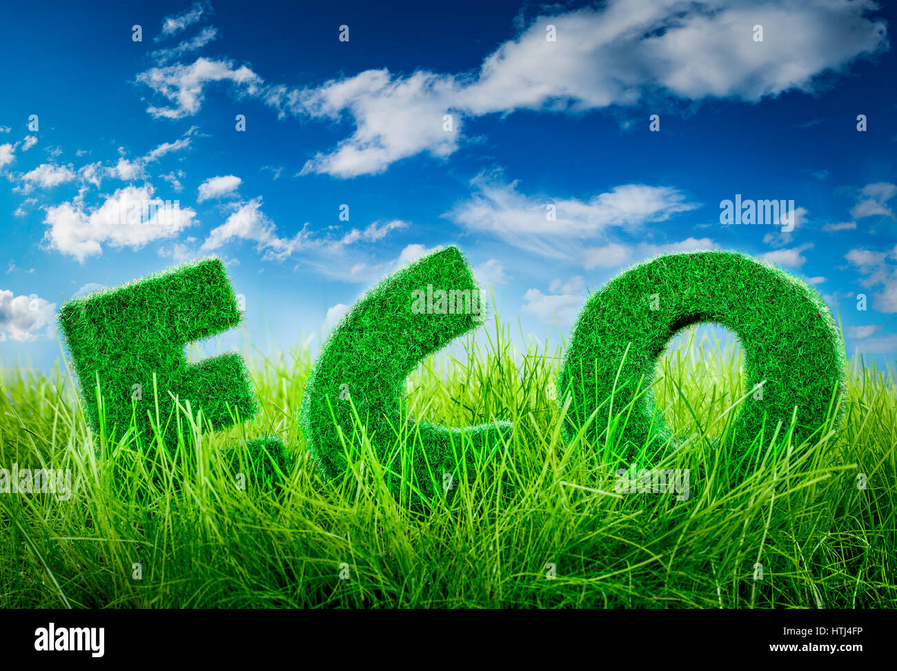 Lettres sur l'herbe verte sur fond de ciel bleu. Eco concept. Banque D'Images