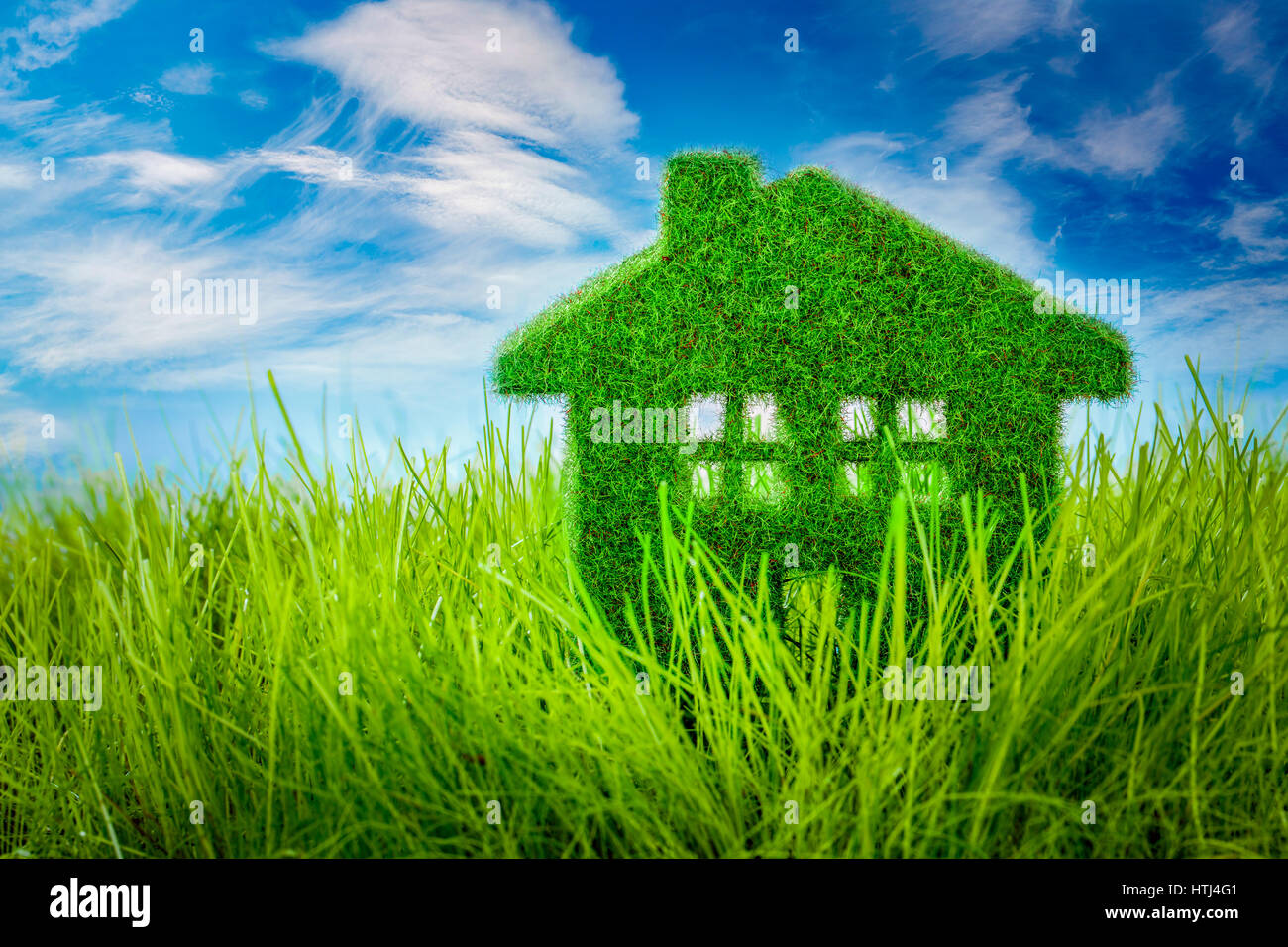 Peu d'Eco House sur l'herbe verte Banque D'Images