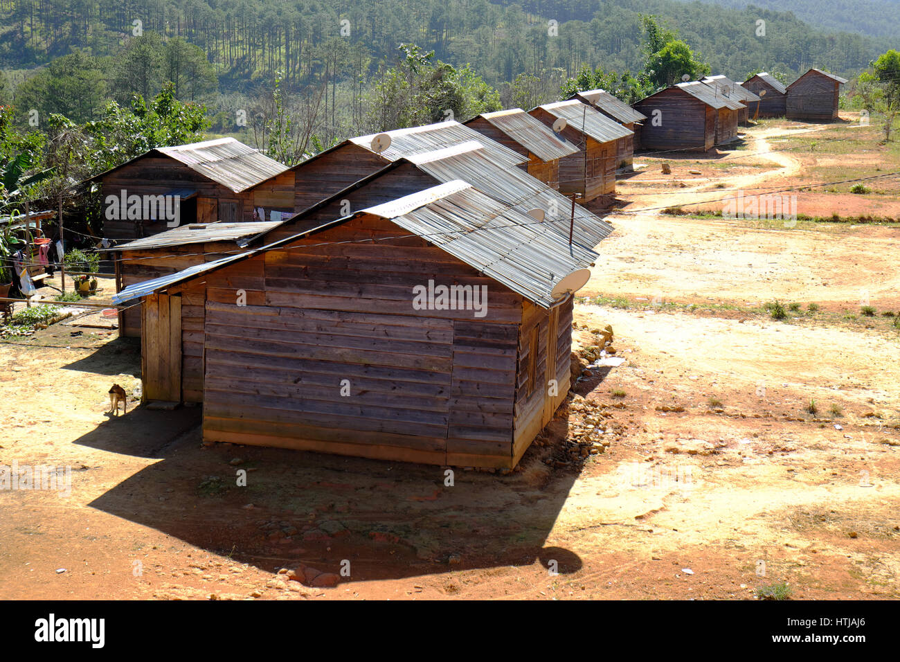 DA LAT, VIET NAM- Dec 30 : scène étonnante campagne à Dalat, Groupe de
