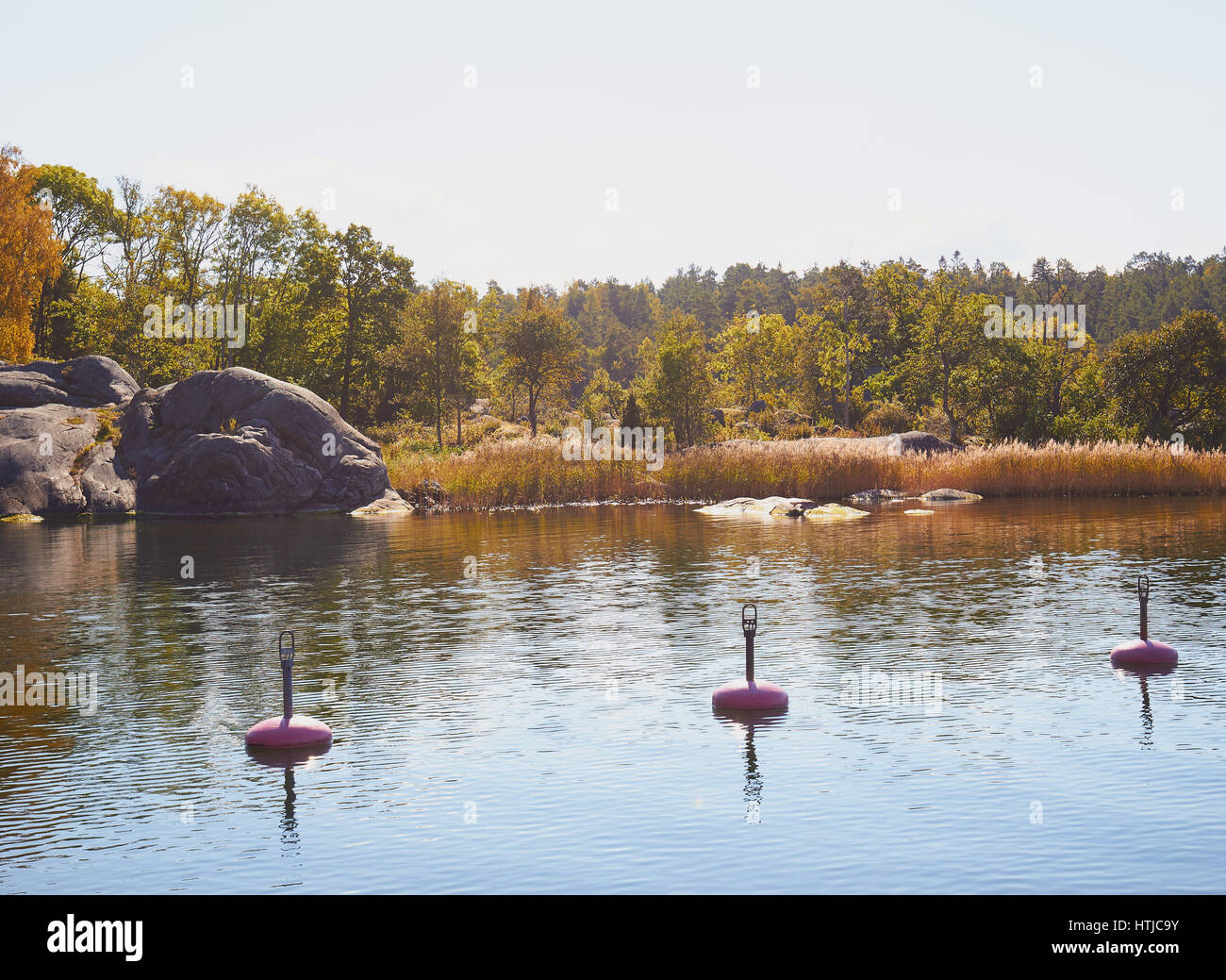 Scène de la nature, l'archipel de Stockholm, Suède, Scandinavie Banque D'Images