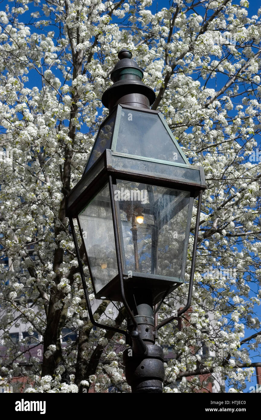 Un gaz lampe de rue dans le parc Beacon Hill/West End de Boston Banque D'Images