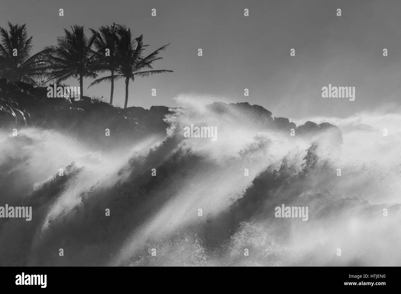 Briser les vagues pendant une forte houle à Waimea Bay sur la côte nord d'Oahu. Banque D'Images