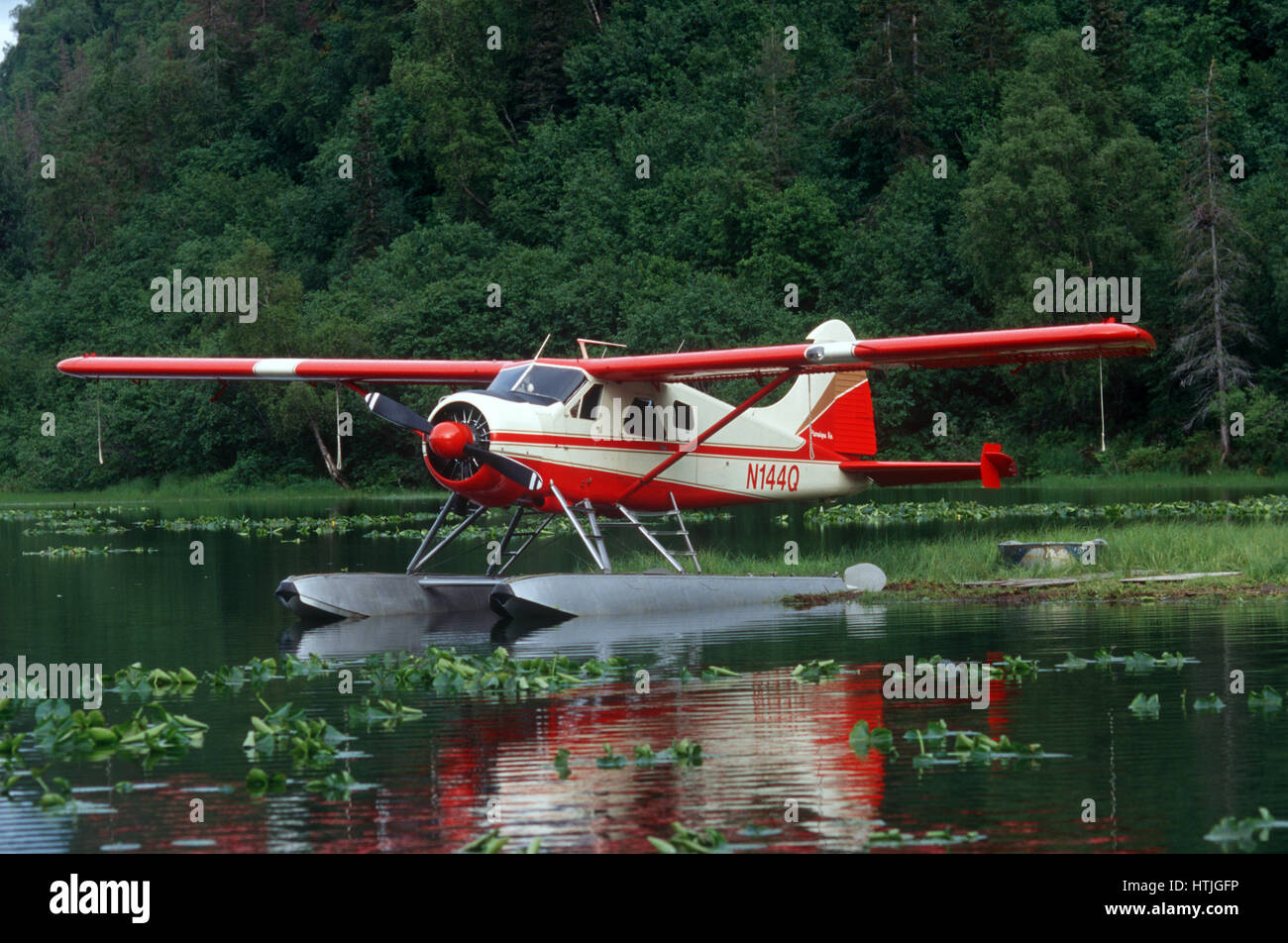 Ponton hydravion (avion) à Wolverine Creek, Cook Inlet, Redoubt Bay, Alaska Banque D'Images