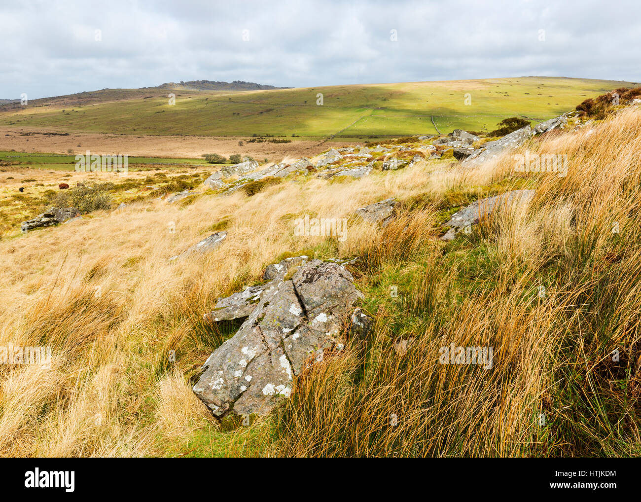 Le désert qui est darmatic Bodmin Moor Banque D'Images